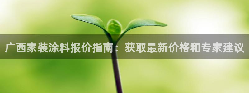和记国际电讯市值：广西家装涂料报价指南：获取最新价格和专家建议