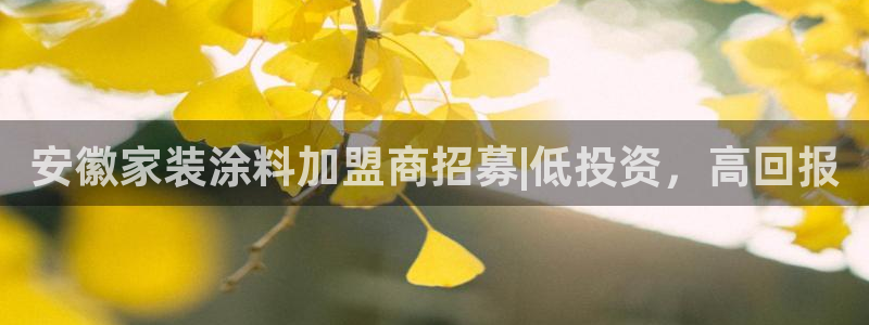 和记官方：安徽家装涂料加盟商招募|低投资，高回报
