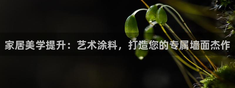 和记h88最新客户端下载：家居美学提升：艺术涂料，打造您的专属墙面杰作