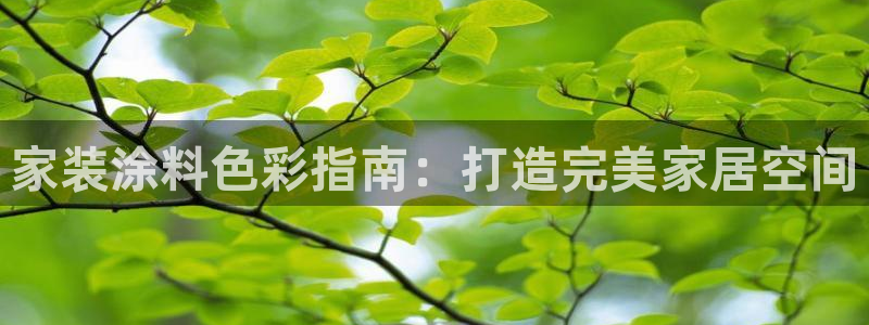 和记最新官方网址：家装涂料色彩指南：打造完美家居空间