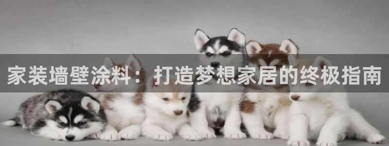 和记hj：家装墙壁涂料：打造梦想家居的终极指南