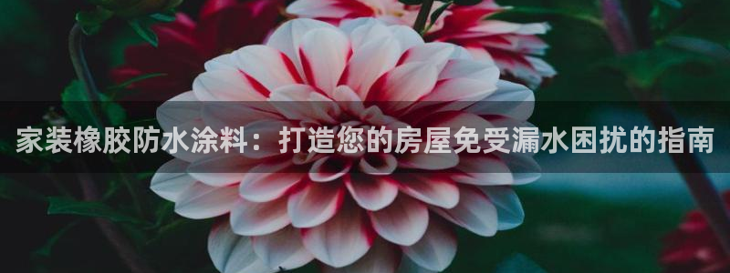 和记官方网址：家装橡胶防水涂料：打造您的房屋免受漏水困扰的指南