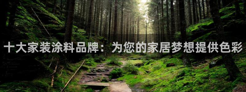 深圳和记科技有限公司：十大家装涂料品牌：为您的家居梦想提供色彩