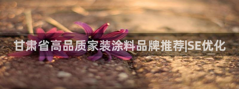 和记官网：甘肃省高品质家装涂料品牌推荐|SE优化