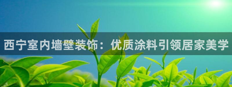 深圳和记科技有限公司：西宁室内墙壁装饰：优质涂料引领居家美学