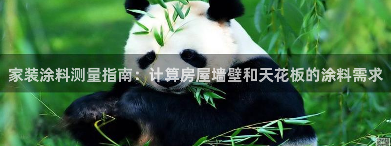 和记国际客服：家装涂料测量指南：计算房屋墙壁和天花板的涂料需求