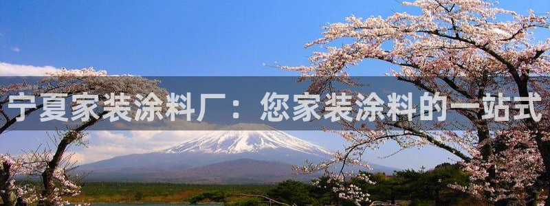 和记h188：宁夏家装涂料厂：您家装涂料的一站式