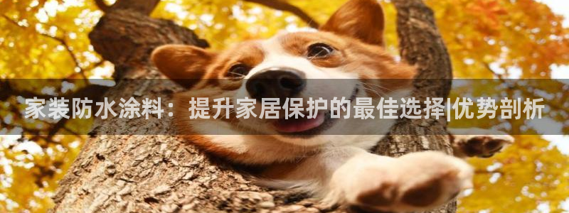 和记下载：家装防水涂料：提升家居保护的最佳选择|优势剖析