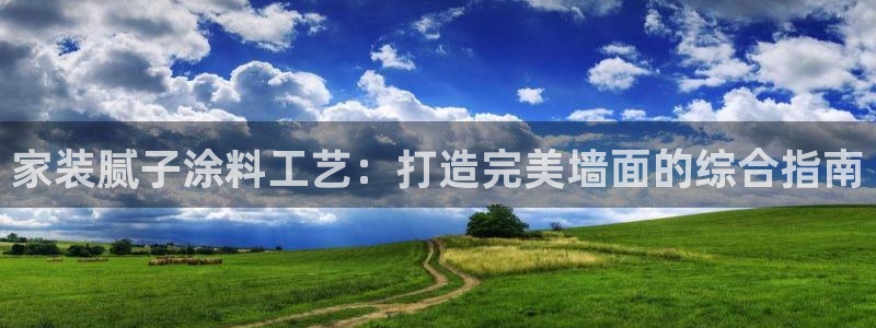 和记国际官网官网：家装腻子涂料工艺：打造完美墙面的综合指南