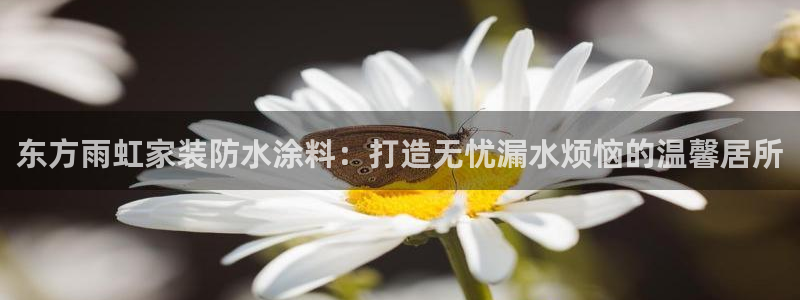和记h8：东方雨虹家装防水涂料：打造无忧漏水烦恼的温馨居所