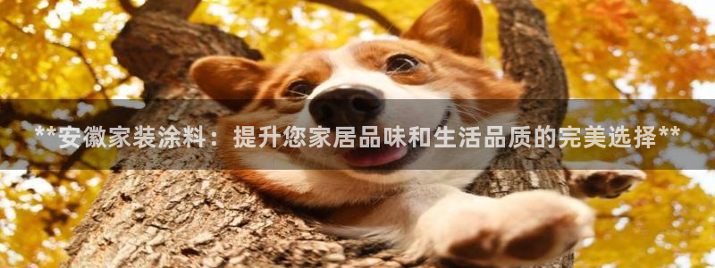 和记hj：**安徽家装涂料：提升您家居品味和生活品质的完美选择**