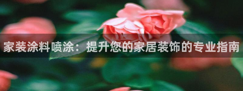 和记paging：家装涂料喷涂：提升您的家居装饰的专业指南