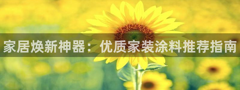 和记平台：家居焕新神器：优质家装涂料推荐指南