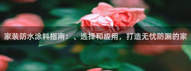 和记ag登录：家装防水涂料指南：、选择和应用，打造无忧防漏的家