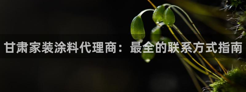ag和记app：甘肃家装涂料代理商：最全的联系方式指南