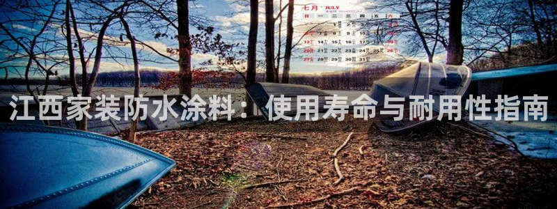 和记官网：江西家装防水涂料：使用寿命与耐用性指南