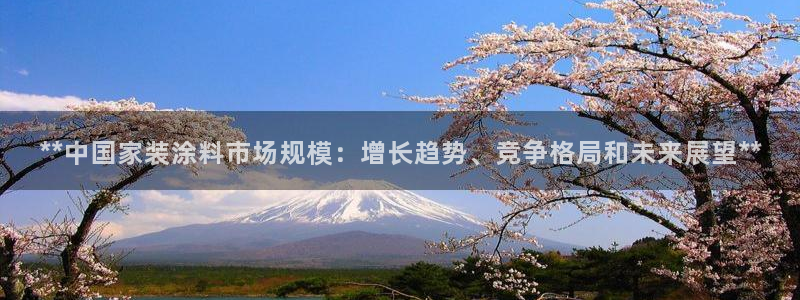 和记官方：**中国家装涂料市场规模：增长趋势、竞争格局和未来展望**