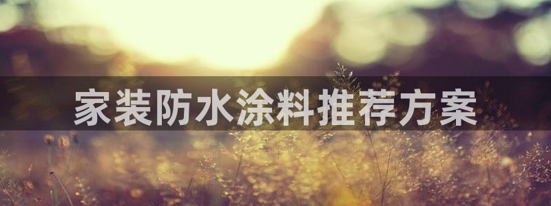 和记国际开户网站：家装防水涂料推荐方案