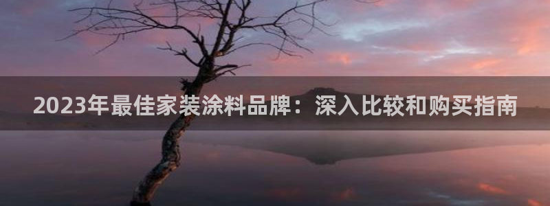 和记旗舰厅：2023年最佳家装涂料品牌：深入比较和购买指南