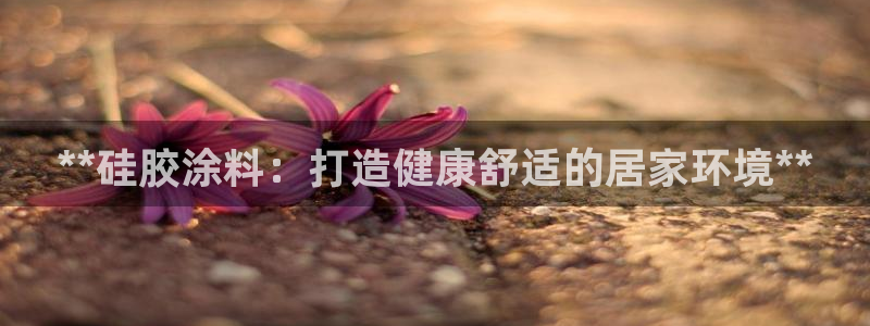 江苏和记数码科技有限公司：**硅胶涂料：打造健康舒适的居家环境**