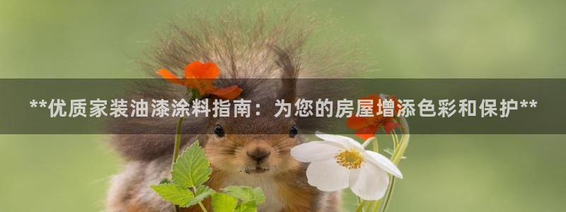 和记Ag：**优质家装油漆涂料指南：为您的房屋增添色彩和保护**
