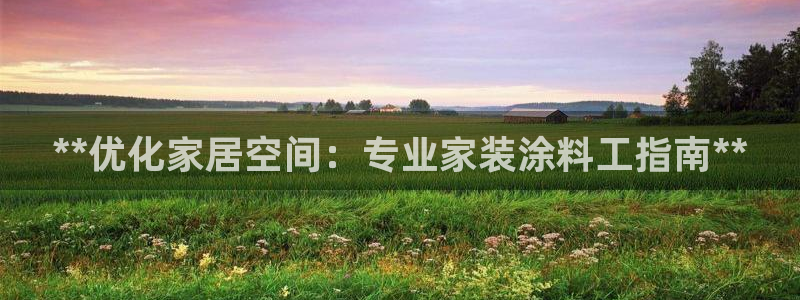 和记AG网站：**优化家居空间：专业家装涂料工指南**