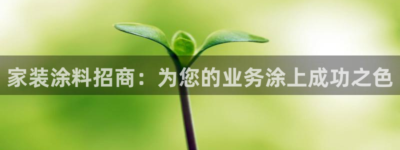 和记H88：家装涂料招商：为您的业务涂上成功之色