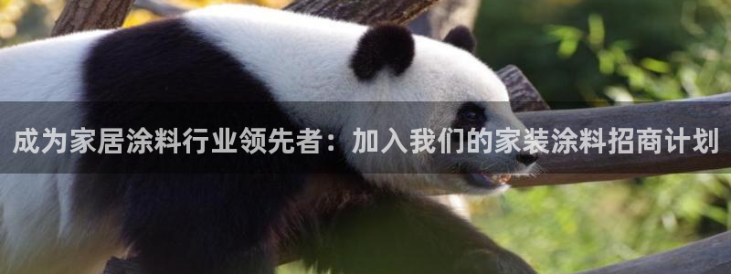 和记paging：成为家居涂料行业领先者：加入我们的家装涂料招商计划