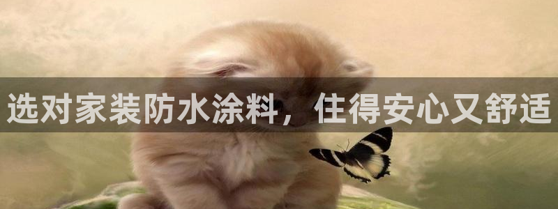 和记官方平台：选对家装防水涂料，住得安心又舒适