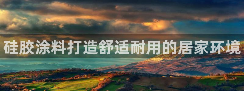 和记国际官网官网：硅胶涂料打造舒适耐用的居家环境