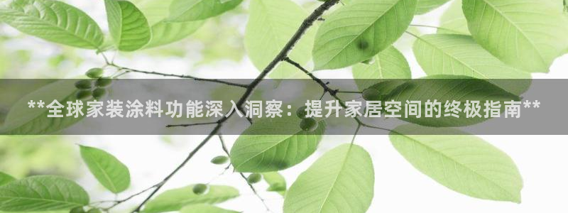 和记国际电讯市值：**全球家装涂料功能深入洞察：提升家居空间的终极指南**