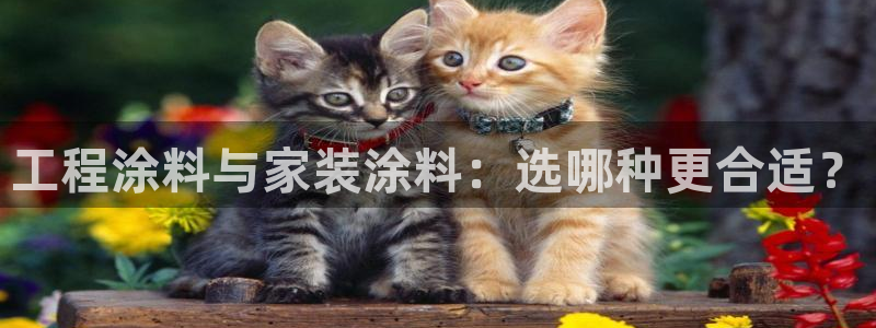 和记国际