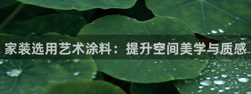 和记pc：家装选用艺术涂料：提升空间美学与质感
