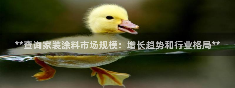 和记港口：**查询家装涂料市场规模：增长趋势和行业格局**
