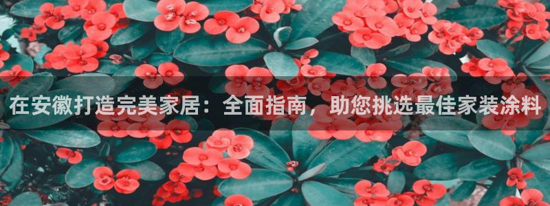 和记官网官方网站：在安徽打造完美家居：全面指南，助您挑选最佳家装涂料