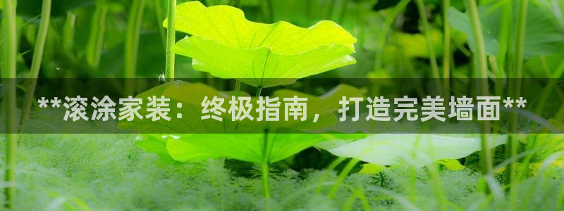 和记 首页：**滚涂家装：终极指南，打造完美墙面**