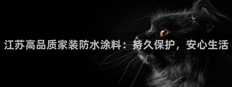 和记电业集团：江苏高品质家装防水涂料：持久保护，安心生活