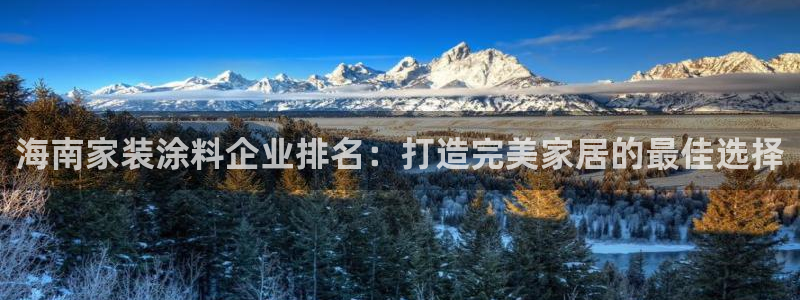 和记官方：海南家装涂料企业排名：打造完美家居的最佳选择