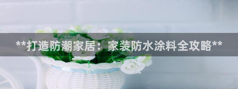 和记官方直营：**打造防潮家居：家装防水涂料全攻略**