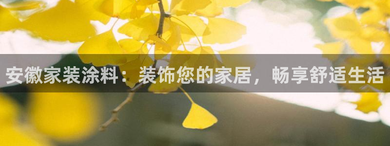 和记平台下载：安徽家装涂料：装饰您的家居，畅享舒适生活