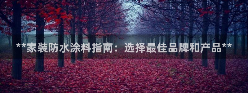 和记平台怎么样：**家装防水涂料指南：选择最佳品牌和产品**