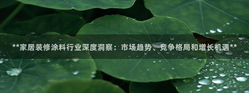 和记 中国官网：**家居装修涂料行业深度洞察：市场趋势、竞争格局和增长机遇**