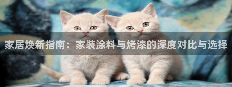 和记国际听：家居焕新指南：家装涂料与烤漆的深度对比与选择