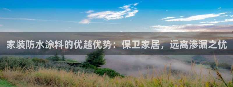 和记官网 公司：家装防水涂料的优越优势：保卫家居，远离渗漏之忧
