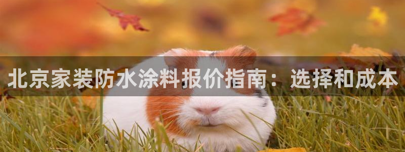 和记Ag：北京家装防水涂料报价指南：选择和成本