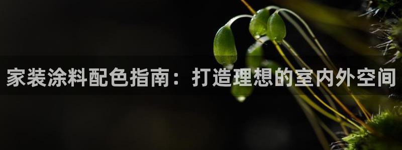ag和记app：家装涂料配色指南：打造理想的室内外空间
