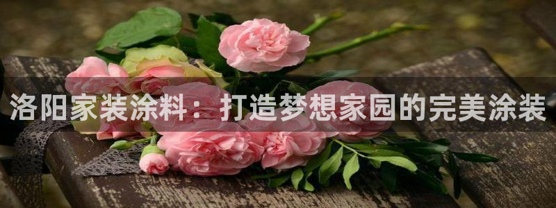 下载和记app：洛阳家装涂料：打造梦想家园的完美涂装