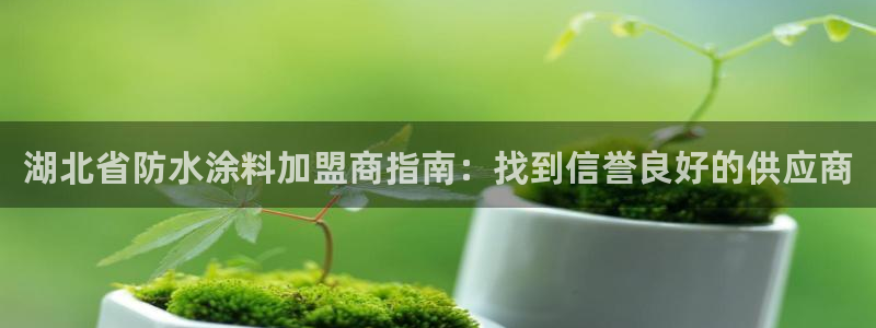 和记注册有什么送的：湖北省防水涂料加盟商指南：找到信誉良好的供应商
