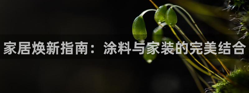 和记Ag：家居焕新指南：涂料与家装的完美结合