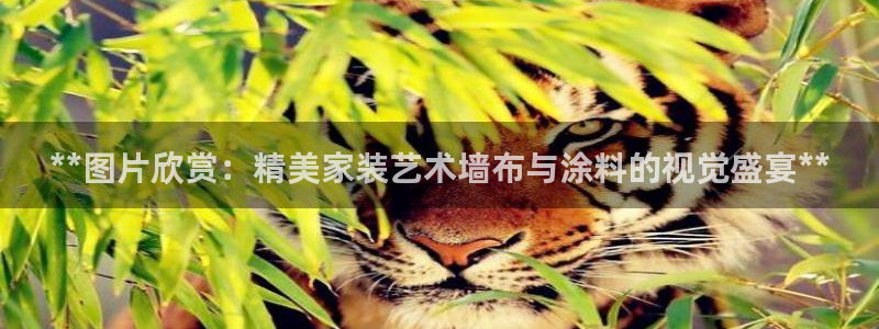 和记下载：**图片欣赏：精美家装艺术墙布与涂料的视觉盛宴**